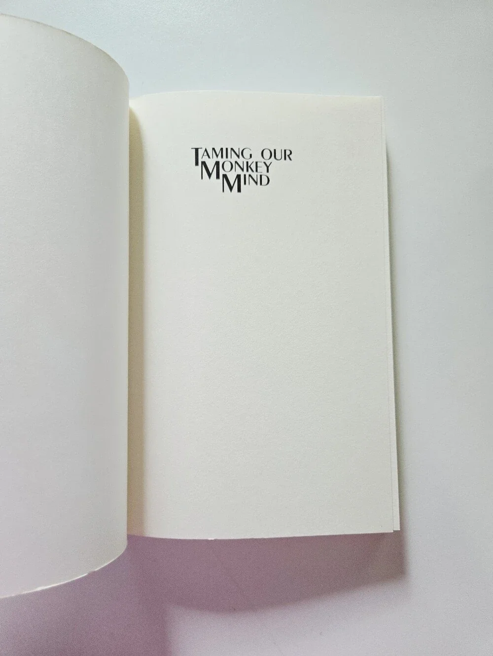 Taming the Monkey Mind Phyllis Krystal 1994 Sam Weiser Inc Trade Paperback